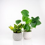 Keramični lonec Barcelona 39.054.16